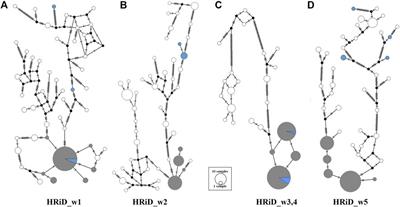 Identification of Selection Signals on the X-Chromosome in East Adriatic Sheep: A New Complementary Approach